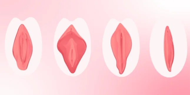 Vulvar Reconstruction